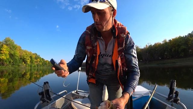 Астраханский пролёт по рыбе! Осень 2023. Часть 2 смотреть онлайн