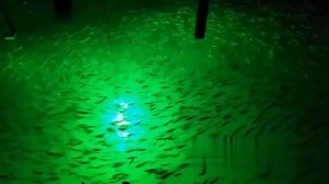 Underwater Led Fishing Light IP68 12V LED Underwater Green Fishing Light Stick Submersible Fishing