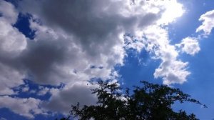 РАЗДЕЛКА ГОВЯЖЬЕЙ ГОЛОВЫ и ГОТОВИЛ МЯСО в ГЛИНЯНОЙ ГОРШКЕ