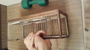 Делаю западки  для ловли.Видео для заказчиков