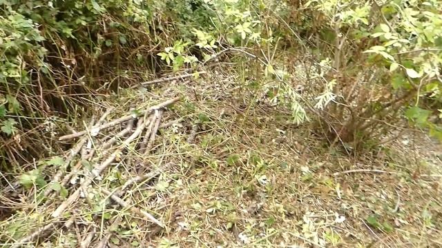 Couteau de broyage (Stihl) : L'outil parfait pour défricher. смотреть онлайн