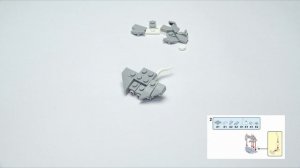 Мир на ладошке: скат