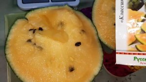 Дегустация шикарного, супер вкусного и сладкого арбуза Оранжевый медок F2