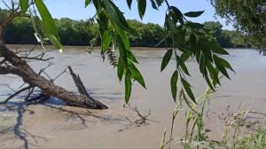 Рыбалка на реке Терек 2020