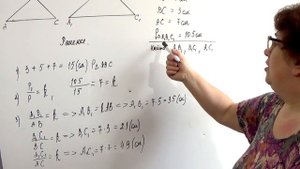 Подобные треугольники и их свойства. Биссектриса.