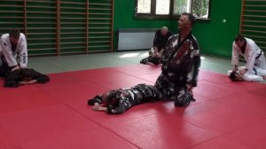 Hapkido seminar by Master Peter Sanders in Zagreb, Croatia