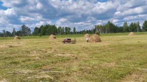 Сенокос в Сибири. Деревенский быт.