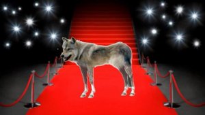 Урок по автоматизации звука Л. Логопед онлайн.