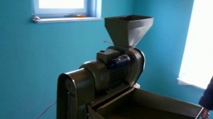 Зубренок Маис