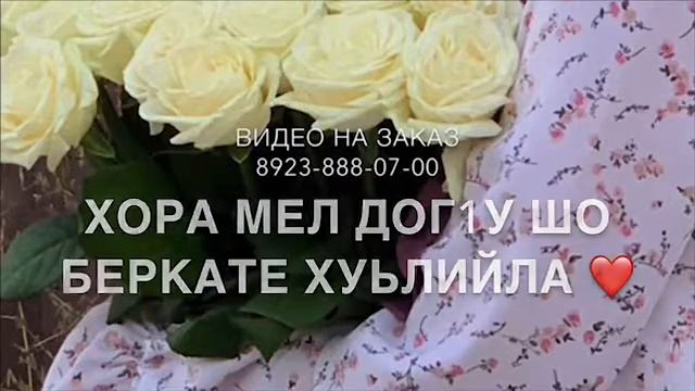 Дал декъал йойла хьо мар-нан❤️ смотреть онлайн