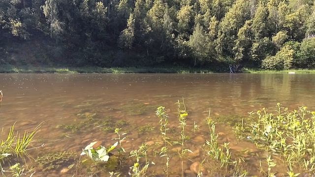 Сплав по Белой, июль 2019. смотреть онлайн