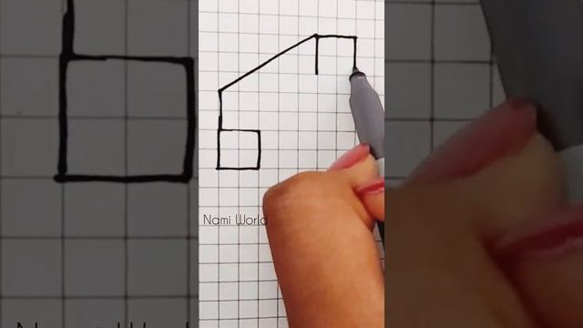 Simple Cuboid illusion (3) | Nami World