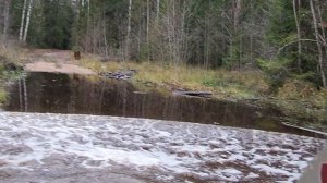 04.11.2023. К усадьбе Ломоносова.