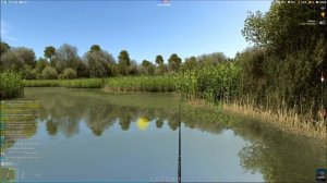 Линь, ловля линя в игре Trophy Fishing 2 - трофейная рыбалка 2