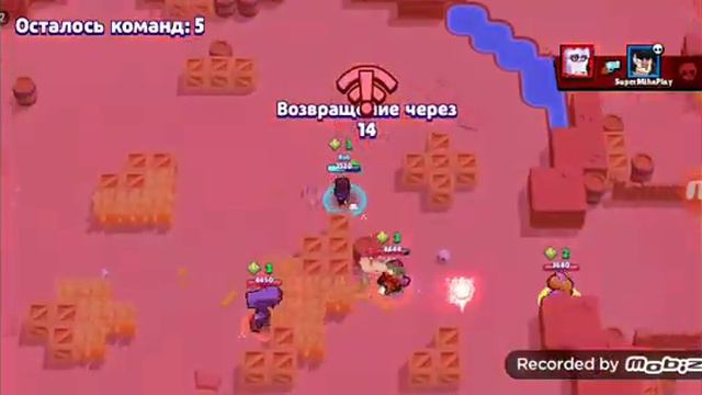 Я вернулся!!!! Конец сезона Базар Тары ! И мега ящик . смотреть онлайн