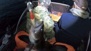 Судаки и много Щуки. Открытие сезона на Ладоге. База Горизонт.