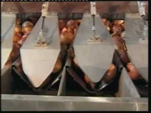 Фасовка лука и паллетирование