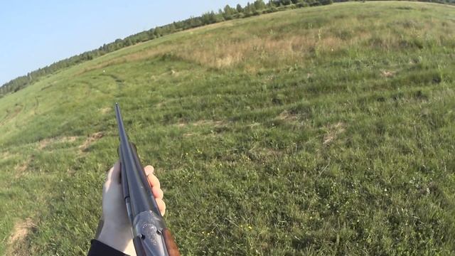 Охота с дратхааром на дупеля и бекаса смотреть онлайн