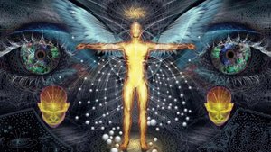 Роберт Адамс — Всё, что вы видите — это Истинное Я