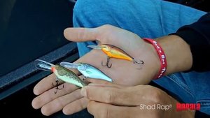 Rapala® Shad Rap