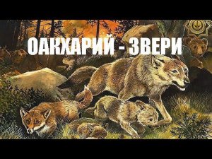 ОАКХАРИЙ - ЗВЕРИ. Бовза беза Наьна мотт. Наьна мотт - Даьла совгIат, халкъа са.