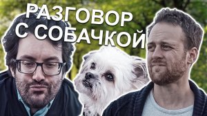 Люди которые любят разговаривать с животными - VLDL SKETCH НА РУССКОМ