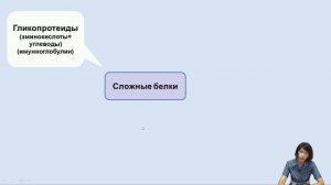 Лекция 2. Строение и функции белков.