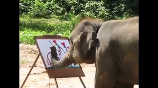 The elephant draws a picture  Слон рисует картину