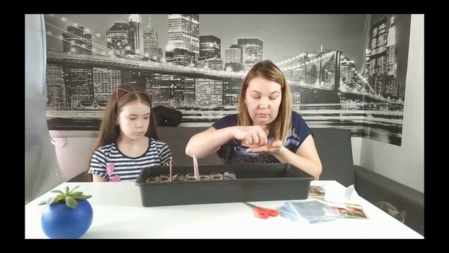 Лучший способ посадки томатов, 100% входы семян!!! смотреть онлайн