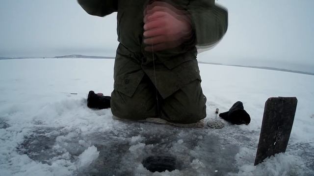 хороший клев продолжается,подлещик на черта,кандры-куль,16.01.18,tmz fishing смотреть онлайн