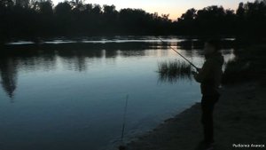 рыбалка на реке Чулым в ночь ловля на фидер