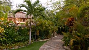 Mia Mui Ne Resort 4* Вьетнам