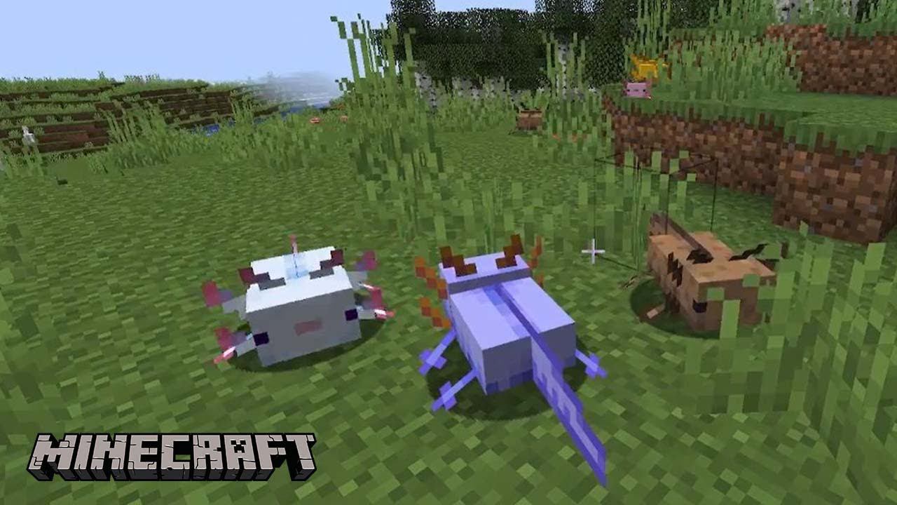 Как призвать аксолотля в Майнкрафт | Гайд по аксолотлю смотреть онлайн