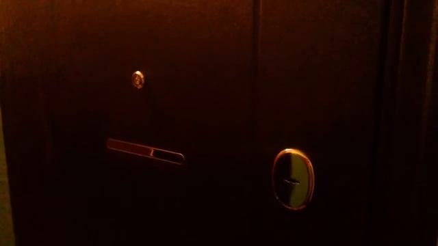 Двери Торекс (Torex) отзывы покупателей. Двери Торекс Супер омега 10, Снегирь, Дельта и Ультиматум смотреть онлайн