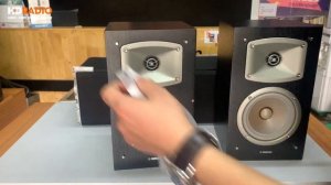 Giới Thiệu Chi Tiết Loa Yamaha NS P350 (Surround+Center)