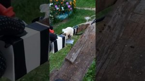 точечная сварка из трансформатора микроволновки