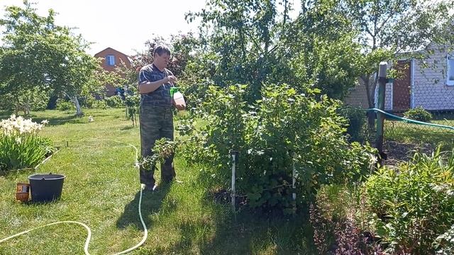 /Дачная хроника / / Мой отдых на даче - полив , прополка и рыхление / смотреть онлайн