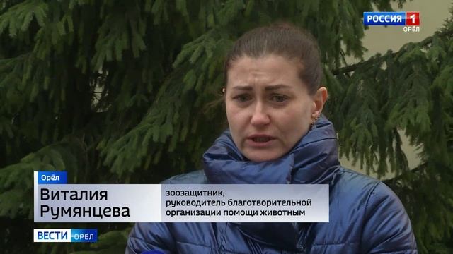 Приют для собак в деревне Болотово обвинили в жестоком обращении с животными