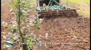 Культиватор навесной КН-2,3 для обработки сада для трактора МТЗ 80/82