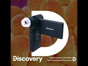 Цифровой микроскоп Levenhuk Discovery Artisan 1024 – видеообзор