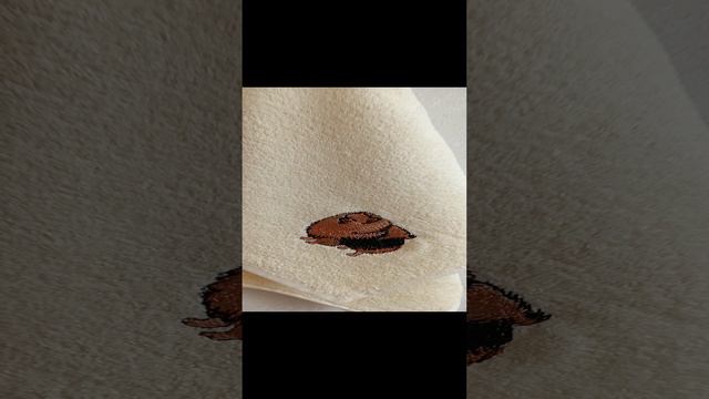 9fc6adcf-19a7-47cf-9240-c2f7435a138c-1_all_10639.mp4