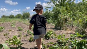 Утро в деревне🤪