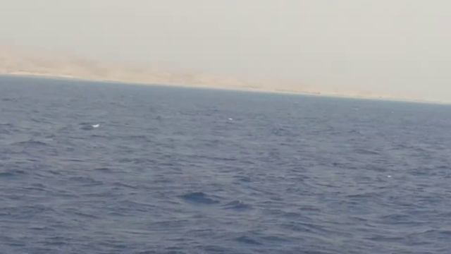 Egypt Hurghada, Sea trip to Paradise island / Египет Хургада, морская прогулка на райский остров смотреть онлайн