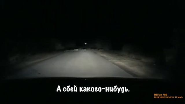 Это что, кабаны? Сбей какого-нибудь
