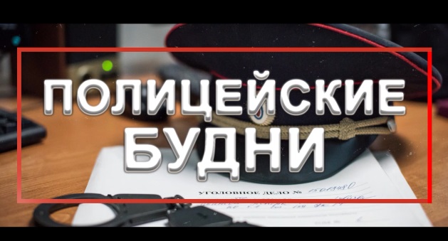 Проект «Полицейские будни»
