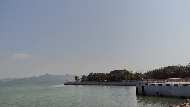 Central River Park，Shenzhen Bay Park,China .Парк-Центранльная река ,Парк Шэньчжэньского залива смотреть онлайн