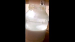 Получение гидроксида натрия в домашних условиях и проверка его свойств