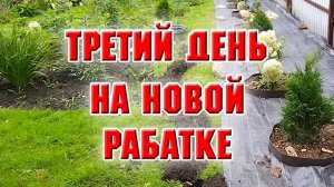 Новая клумба. Разметила бордюр, выкопала клубнику