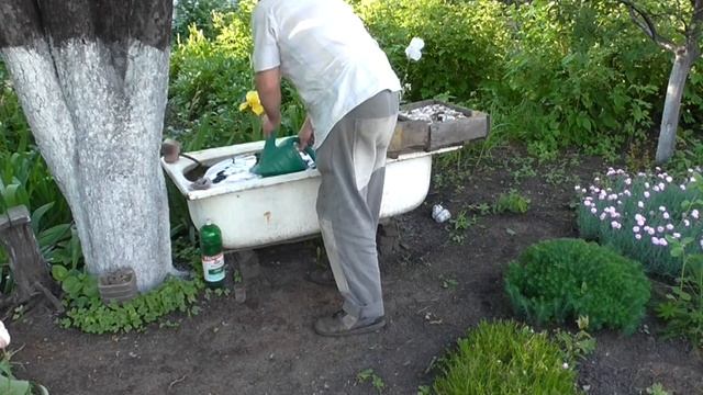 Мульчирование грядок. Полынь как мульча