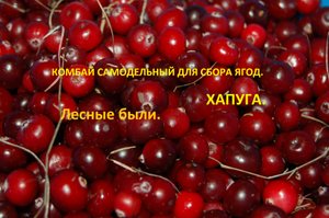 Ягодный комбайн.Или хапуга для сбора брусники ,клюквы. черники.